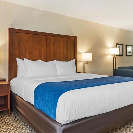 Comfort Inn & Suites Near Route 66 Lincoln Rum bild