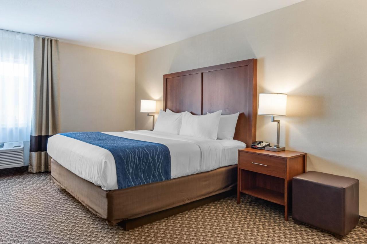 Comfort Inn & Suites Near Route 66 Lincoln Rum bild