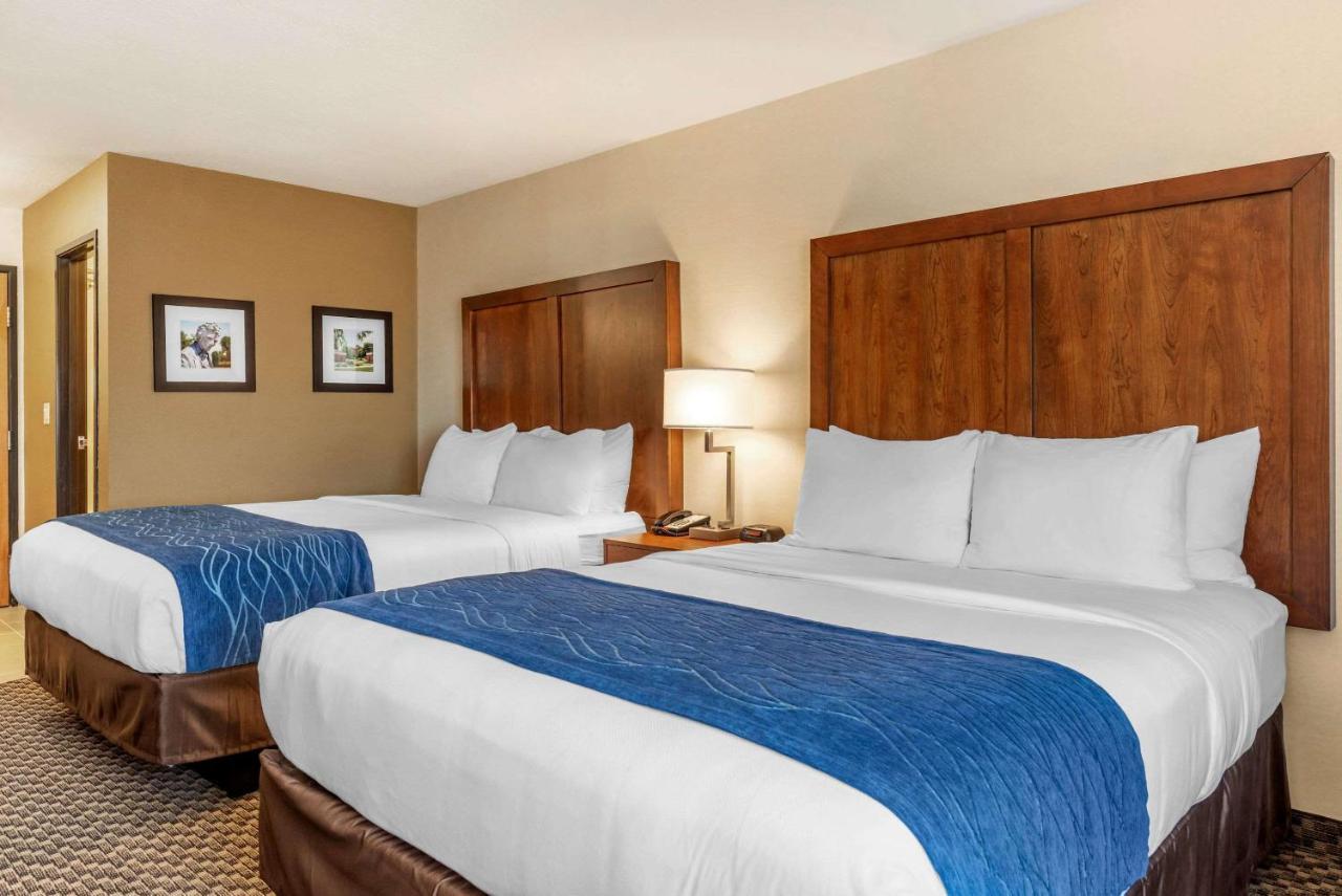 Comfort Inn & Suites Near Route 66 Lincoln Exteriör bild